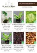 affiches-plants-2024-14.jpg